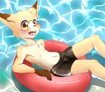  5_fingers anthro blush brown_fur bulge canine fox fur male mammal navel solo swimshorts tan_fur tongue tongue_out water young まだー１０ 