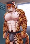  bulge clothing dream_and_nightmare feline hat jockstrap mammal tiger underwear 