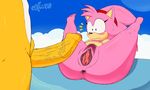  amy_rose anus blush breasts butt canine cloud excito fox hedgehog mammal miles_prower penis pubes pussy shocked sonic_(series) young 