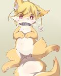  &lt;3 anus blush canine collar cub cute faeki fox fur hindpaw looking_down male mammal nude paws red_eyes semi-anthro simple_background solo spread_legs spreading white_fur yellow_fur young 