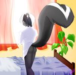  2011 anthro axel_(nataly-b) bed bedroom big_tail bottomless butt clothed clothing curtains day detailed_background digital_media_(artwork) eyebrows fur girly hair hi_res inside looking_at_viewer looking_back male mammal multicolored_fur multicolored_hair nataly-b plant purple_eyes raised_tail rear_view shirt short_hair skunk solo two_tone_fur two_tone_hair two_tone_tail window ztanding 