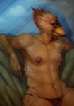  anthro avian baleinebleue beak bird breasts clothed clothing crest female green_eyes hawk looking_at_viewer looking_sideways navel nipples non-mammal_breasts panties profile shadow sitting solo topless underwear 