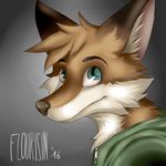  blue_eyes canine clothing flourisin fox hoodie icon invalid_tag mammal portrait selfie smile 