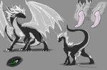  animal_genitalia animal_penis dragon drayke_eternity erection feral grey_background herm horn intersex knot male penis simple_background solo wings 