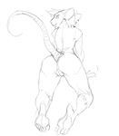  2016 all_fours butt female guoh looking_back mammal monochrome presenting presenting_hindquarters pussy rat rat_tail rodent sketch solo 