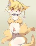  &lt;3 anus balls blush canine collar cub edit faeki fox fur hindpaw looking_at_penis looking_down male mammal nude paws penis perineum precum red_eyes semi-anthro simple_background solo spread_legs spreading tapering_penis uncensored white_fur yellow_fur young 