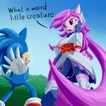 2016 anthro black_nose clothed clothing dialogue dragon duo english_text female freedom_planet freedom_planet_2 fur gloves hair hedgehog jt-metalli long_hair male mammal nude purple_hair sash_lilac sonic_(series) sonic_the_hedgehog text video_games 