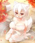  :d alternate_costume animal_ears autumn_leaves bad_id bad_pixiv_id bangs bare_shoulders blush breasts bucket cleavage collarbone commentary_request covered_nipples hajime_(ak-r) heart inubashiri_momiji large_breasts leaf looking_at_viewer maple_leaf naked_towel naughty_face no_hat no_headwear nose_blush onsen open_mouth partially_submerged red_eyes ripples short_hair smile solo touhou towel white_hair white_towel wolf_ears 