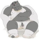  2019 anthro belly blush bulge clothed clothing cute_fangs flaccid humanoid_hands humanoid_penis jumperbear male mammal moobs navel nipples open_shirt overweight overweight_male penis shirt simple_background sitting solo underwear ursid white_background 