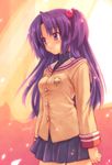  blush clannad hair_bobbles hair_ornament hikarizaka_private_high_school_uniform ichinose_kotomi inou_shin long_hair purple_eyes purple_hair school_uniform skirt solo two_side_up window 