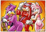  2016 amy_rose anthro areola avian balls big_breasts big_butt bird breasts butt echidna erect_nipples erection escopeto female group hedgehog imminent_sex knuckles_the_echidna male mammal monotreme navel nipples nude penis pussy sonic_(series) sonic_riders swallow_(bird) wave_the_swallow 