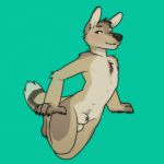  animal_genitalia animal_penis anthro balls blush canine canine_penis chest_tuft digital_media_(artwork) green_background jackal lundi male mammal nude penis penis_tip sheath simple_background smile solo tuft 