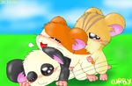  anal anal_penetration blush curby eyes_closed group group_sex hamster hamtaro hamtaro_(series) male male/male mammal open_mouth panda_(hamtaro) penetration rodent sex simple_background stan_(hamtaro) threesome 