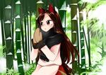  animal_ears bamboo bamboo_forest blouse breath brown_hair cold commentary_request forest imaizumi_kagerou kaisenpurin long_hair long_sleeves mittens nature outdoors red_eyes red_skirt scarf skirt snow solo tail touhou white_blouse winter wolf_ears wolf_tail 
