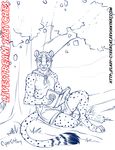  anthro bandanna blue_theme book clothed clothing cybercat feline looking_at_viewer male mammal outside sitting sketch solo 