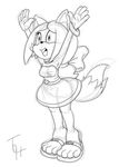  2016 anthro canine fan_character female fox mammal solo sonic_(series) the_other_half 