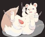  3_fingers 3_toes anus balls blue_eyes blush bound cum feral ferret fur lying male mammal mustelid on_back open_mouth pawpads penis simple_background solo tapering_penis toes white_fur きのこ 