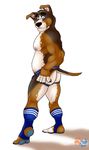  2016 anthro black_nose brown_fur brown_tail canine claws clothed clothing digital_media_(artwork) dog eyebrows fingerless_(marking) floppy_ears fur grey_eyes hi_res jockstrap legwear looking_back male mammal multicolored_fur multicolored_tail nipples rear_view shadow sharpiesabre simple_background smile socks solo stirrup_socks topless underwear watermark white_background white_fur white_nipples white_tail 