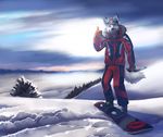  5_fingers anthro canine clothed clothing detailed_background dog fur gloves grey_nose hair koul looking_at_viewer male mammal outside smile snowboard solo standing white_fur white_hair 