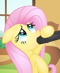  blue_eyes blush book bookshelf ears_down equine eyelashes fellatio fluttershy_(mlp) friendship_is_magic hair handjob horse mammal my_little_pony open_mouth oral pegasus penis pink_hair pony rainbownspeedash sex smile tongue tongue_out window wings 