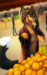  5_fingers anthro araivis-edelveys black_lips brown_hair canine clothed clothing day detailed_background eyewear female food fox fruit fur goggles hair looking_at_viewer mammal open_mouth orange_(fruit) orange_fur outside smile teeth yellow_eyes 