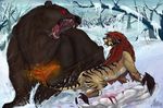  ambiguous_gender araivis-edelveys bear black_nose blood brown_fur day duo feline female feral fur hair male mammal nude open_mouth outside red_eyes red_hair snow standing teeth tiger tongue white_fur 