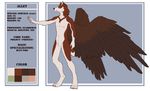  4_toes 5_fingers anthro araivis-edelveys brown_eyes brown_feathers brown_fur brown_nose canine digitigrade dog english_test feathered_wings feathers fur husky male mammal model_sheet nude smile solo standing toes white_fur wings 