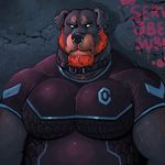  2016 anthro beard biceps black_fur black_nose brown_fur bust_portrait canine clothed clothing collar digital_media_(artwork) dog dramamine ear_piercing eyebrow_piercing facial_hair facial_piercing floppy_ears front_view fur graffiti green_eyes lip_piercing male mammal multicolored_fur muscular muscular_male nose_piercing nose_ring pecs piercing portrait rottweiler septum_piercing shirt solo tight_clothing two_tone_fur 