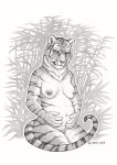  2018 5_fingers anisis anthro belly big_belly breasts feline female fur grey_fur grey_nipples grey_nose happy mammal multicolored_fur multicolored_tail nipples pregnant sketch smile solo striped_fur stripes thick_thighs tiger traditional_media_(artwork) white_fur wide_hips 