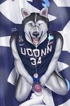  2016 anthro athletic barefoot basketball black_fur blue_eyes canine clothed clothing cum cum_in_eye cum_in_mouth cum_inside cum_on_face cumshot digital_media_(artwork) dog duo ejaculation erection feet fellatio first_person_view front_view fur grey_fur hand_on_cock hi_res humanoid_penis husky jersey jockstrap jonathan_xiii jonathan_xiv kneeling looking_at_viewer male male/male mammal mascot masturbation messy multicolored_fur ncaa nike one_eye_closed open_mouth oral orgasm penis plantigrade retracted_foreskin sex sexbad shaded signature soft_shading sport stadium submissive teeth tongue uconn_huskies uncut underwear university_of_connecticut white_fur wink 