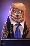  2016 4steex amber_eyes avian beak bird blonde_hair clothing donald_trump feral hair male mic necktie owl standing suit watermark wings 