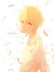  blonde_hair character_name highres looking_at_viewer ly male_focus noragami petals shirt solo upper_body white_shirt yellow_eyes yukine_(noragami) 