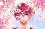  1boy cherry_blossoms closed_mouth glasses gowther male_focus microphone nanatsu_no_taizai pink_hair solo yellow_eyes 