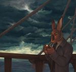  anthro brown_fur clothed clothing cloud ears_up fur jacket lagomorph mammal outside pipe rabbit rope sea seriousmccoy ship sky smoking solo standing vehicle water 