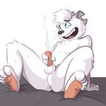  anus balls cum cumshot ejaculation erection front_view gully gully_(character) humanoid_penis male mammal masturbation mustelid nude open_mouth orgasm penis reclining smile solo spread_legs spreading weasel whiskers 