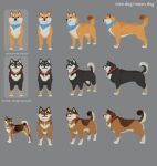  3d_(artwork) :3 ambiguous_gender bandanna big_potato_(lkbc) black_nose blue_eyes canid canine canis chest_tuft claws collar concept_art countershading curled_tail digital_media_(artwork) domestic_dog feral group hi_res kerchief little_kitty_big_city mammal model_sheet official_art paws photography_(artwork) shiba_inu spitz standing tail trio tuft unnamed_character xvalociraptor 