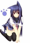  all_fours angel_beats! animal_ears black_legwear blue_hair blush cat_ears kuwashima_rein long_hair paw_print red_eyes scarf school_uniform serafuku shiina_(angel_beats!) skirt solo tail thighhighs zettai_ryouiki 