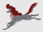 2018 ambiguous_gender azzai black_nose canid canine canis character_request collar dog_in_boots domestic_dog feet feral fluffy fur grey_body grey_fur hair mammal paws quadruped red_hair red_tail running shaded simple_background tail watermark white_background