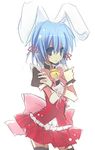  animal_ears ayasaki_hayate bad_id bad_pixiv_id blue_eyes blue_hair bunny_ears crossdressing hayate_no_gotoku! male_focus otoko_no_ko pima_mashiro short_hair solo thighhighs 