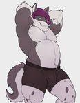  bulge canine dog hair husky knuxlight lester lesterhusky male mammal muscular pinup pose smile smirk solo spots 