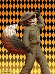  anthro canine clothed clothing diaszoom fox fur hair hat looking_at_viewer male mammal simple_background smile solo 