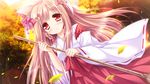  dutch_angle eyebrows_visible_through_hair forest hakama highres holding japanese_clothes leaf light_brown_hair long_hair looking_at_viewer miko mito_kohaku moekibara_fumitake nature outdoors red_eyes red_hakama smile solo tayutama_2 tree 