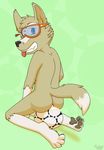  anthro ball butt canine cum cum_inside eyewear frostedchase goggles male mammal pawpads paws soccer_ball solo wolf zabivaka 