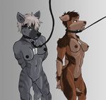  abs angry anthro bdsm biceps bondage bound canine coyote deebo dog_tags duo female headband hyena leash mammal marsonaut muscular nude prisoner pubes red_eyes simple_background wide_hips 