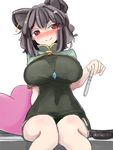  animal_ears black_dress blush breasts capelet dress grey_hair jewelry knees_together_feet_apart large_breasts microdress mouse_ears mouse_tail nazrin necklace nose_blush panties pantyshot pantyshot_(sitting) pregnancy_test red_eyes sitting smile solo tail torso_(hjk098) touhou underwear 