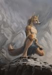  canine fox latex_(artist) male mammal 