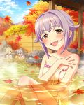  artist_request autumn_leaves blonde_hair brown_eyes bucket grey_eyes grey_hair hair_over_one_eye hoshi_shouko idolmaster idolmaster_cinderella_girls kawaii_boku_to_142's koshimizu_sachiko leaf long_hair maple_leaf multiple_girls naked_towel official_art onsen purple_hair red_eyes shirasaka_koume short_hair towel tree wooden_bucket 