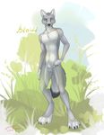  5_fingers akineza anthro balls canine digitigrade fur grey_fur grey_nose looking_at_viewer male mammal nude solo standing wolf 