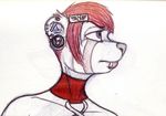  ambiguous_gender anthro earpiece facial_piercing kraken_(artist) lip_piercing mammal piercing red_panda sketch solo traditional_media_(artwork) 
