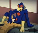  anthro anthro_on_anthro avian balls beak big_penis bird blue_feathers butt canine cum cum_in_mouth cum_inside cum_on_face cum_on_penis cum_on_shoulder cum_on_tongue duo erection falco_lombardi feathers fellatio forsen fox fox_mccloud fur hand_on_head hand_on_leg interspecies looking_down male male/male mammal muscular nintendo open_mouth oral oral_penetration pecs penetration penis pointy_ears pubes sex simple_background skinny star_fox tongue video_games 